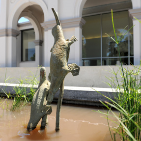 27. Platypus Sculpture, 101 Payneham Road, St Peters