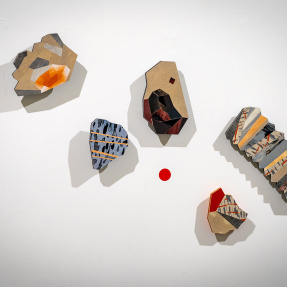 z-Nature Festival 2025