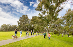 River Torrens Linear Park Path Users